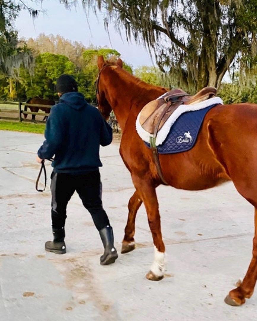 Jumper Saddle Pad