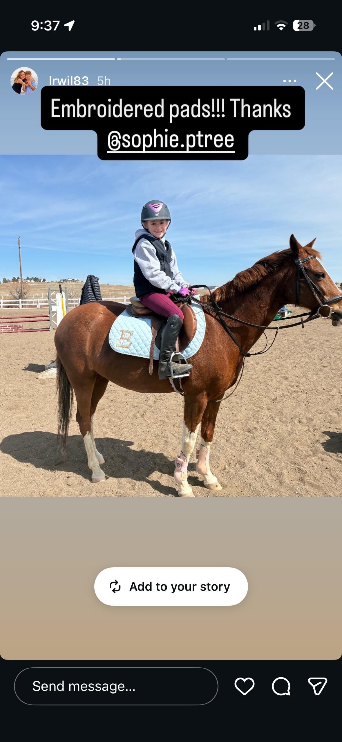 EGGS LETTER - Saddle Pad Easter Monogram