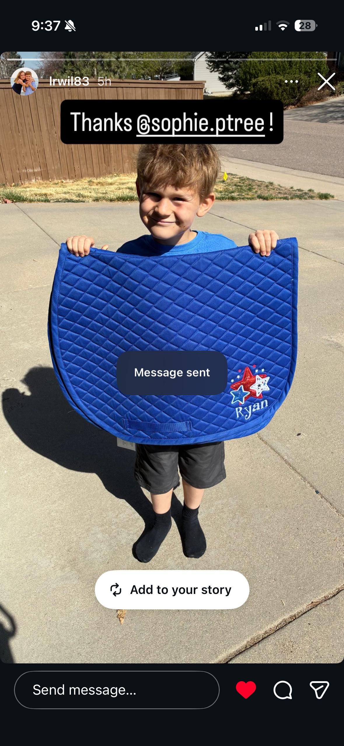 STARS - Saddle Pad 4th of July